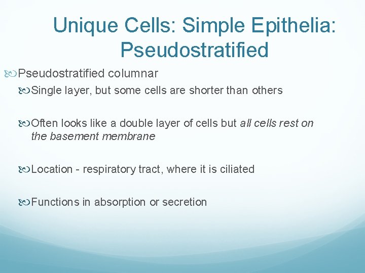 Unique Cells: Simple Epithelia: Pseudostratified columnar Single layer, but some cells are shorter than