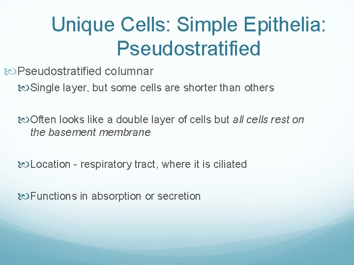 Unique Cells: Simple Epithelia: Pseudostratified columnar Single layer, but some cells are shorter than Unique Cells: Simple Epithelia: Pseudostratified columnar Single layer, but some cells are shorter than