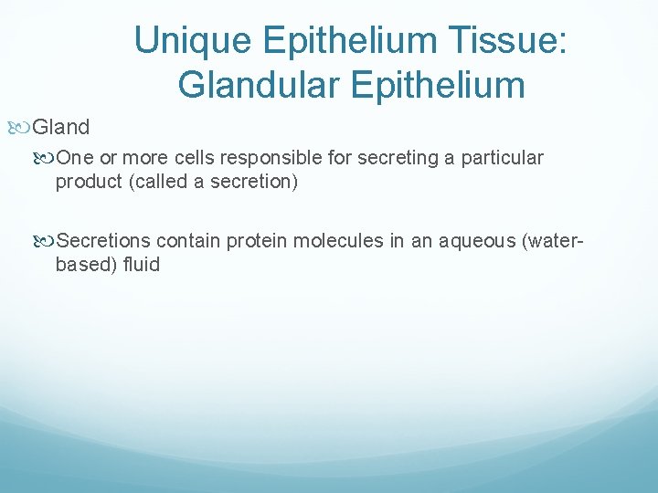 Unique Epithelium Tissue: Glandular Epithelium Gland One or more cells responsible for secreting a