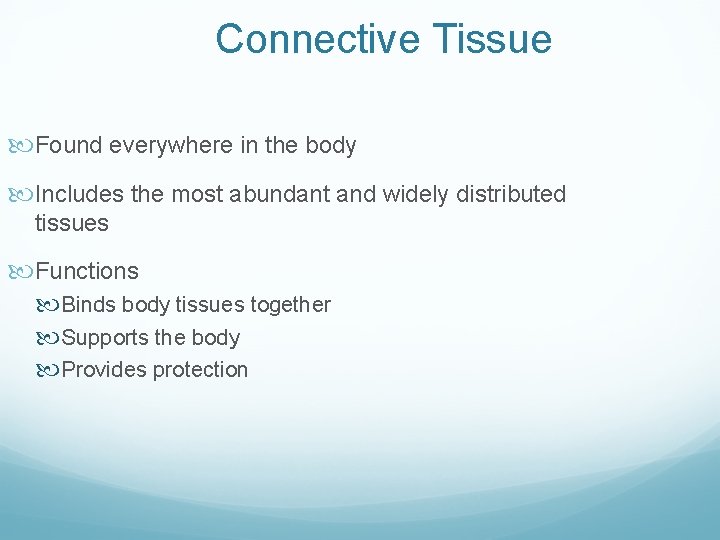 Connective Tissue Found everywhere in the body Includes the most abundant and widely distributed