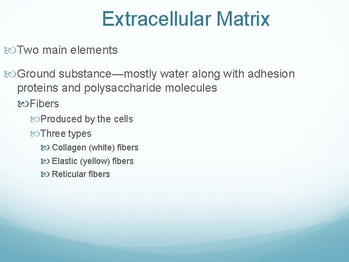 Extracellular Matrix Two main elements Ground substance—mostly water along with adhesion proteins and polysaccharide