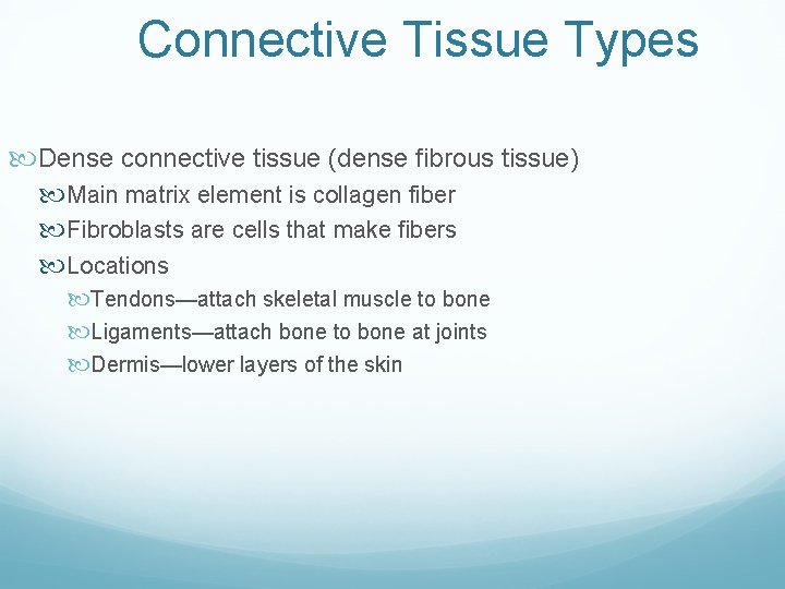 Connective Tissue Types Dense connective tissue (dense fibrous tissue) Main matrix element is collagen