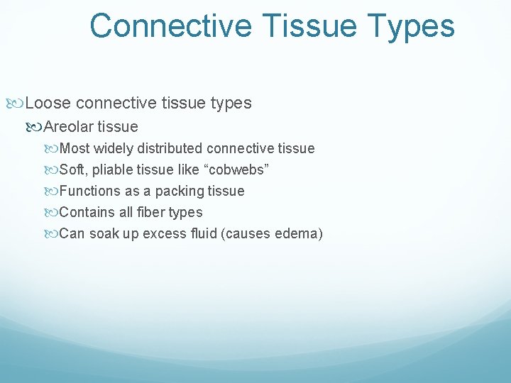 Connective Tissue Types Loose connective tissue types Areolar tissue Most widely distributed connective tissue Connective Tissue Types Loose connective tissue types Areolar tissue Most widely distributed connective tissue