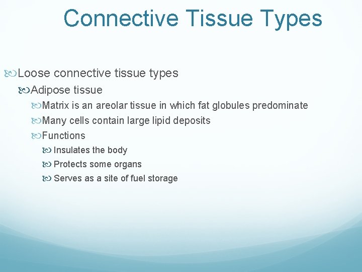 Connective Tissue Types Loose connective tissue types Adipose tissue Matrix is an areolar tissue