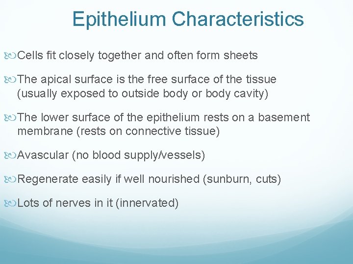 Epithelium Characteristics Cells fit closely together and often form sheets The apical surface is