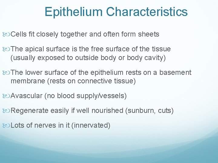 Epithelium Characteristics Cells fit closely together and often form sheets The apical surface is Epithelium Characteristics Cells fit closely together and often form sheets The apical surface is