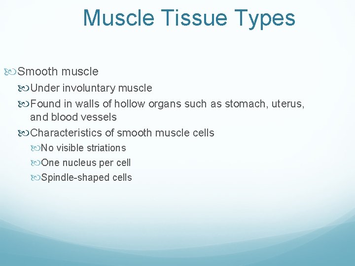 Muscle Tissue Types Smooth muscle Under involuntary muscle Found in walls of hollow organs