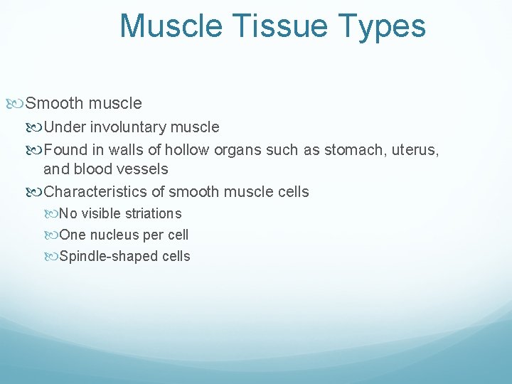Muscle Tissue Types Smooth muscle Under involuntary muscle Found in walls of hollow organs Muscle Tissue Types Smooth muscle Under involuntary muscle Found in walls of hollow organs