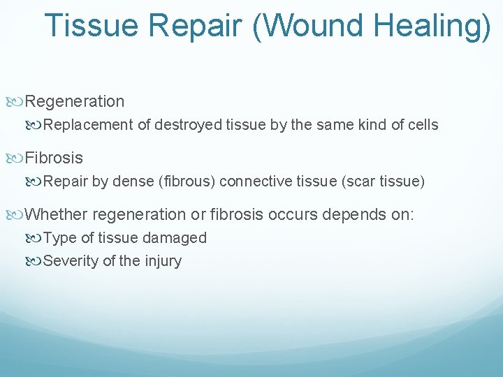 Tissue Repair (Wound Healing) Regeneration Replacement of destroyed tissue by the same kind of
