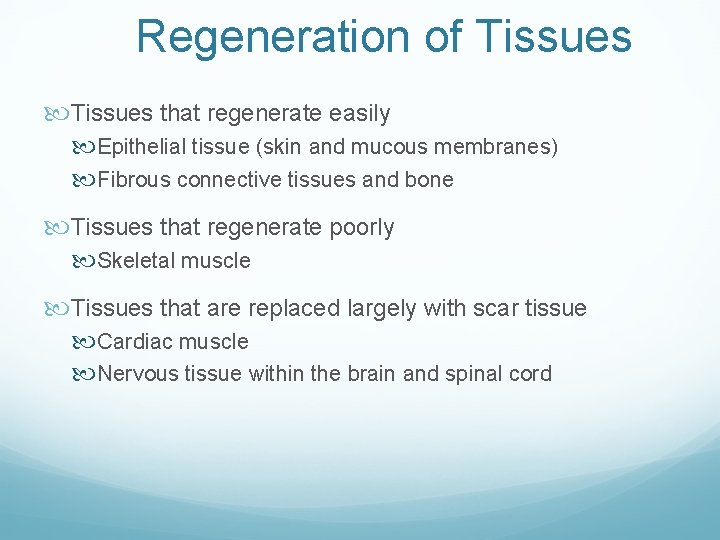 Regeneration of Tissues that regenerate easily Epithelial tissue (skin and mucous membranes) Fibrous connective