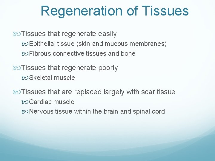 Regeneration of Tissues that regenerate easily Epithelial tissue (skin and mucous membranes) Fibrous connective Regeneration of Tissues that regenerate easily Epithelial tissue (skin and mucous membranes) Fibrous connective