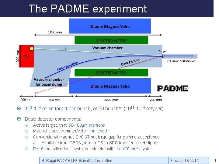 The PADME experiment 103 -104 e+ on target per bunch, at 50 bunch/s (1013