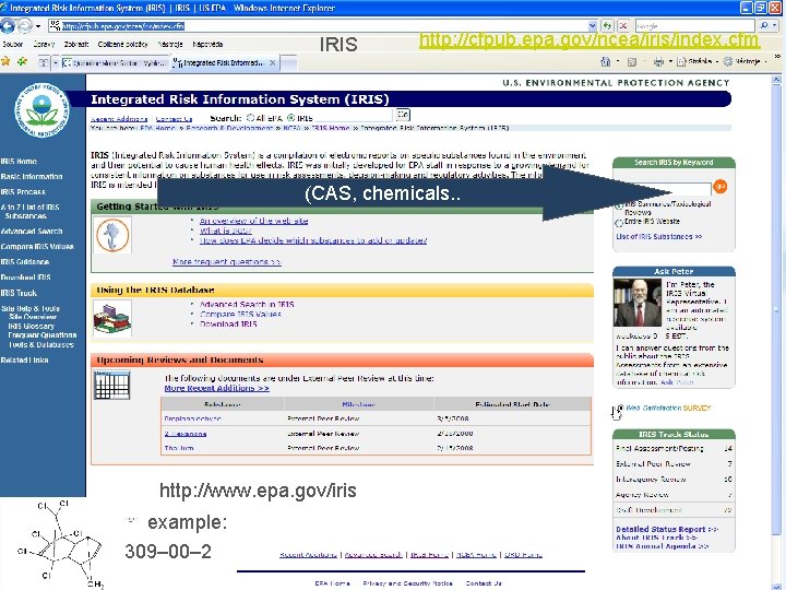 IRIS http: //cfpub. epa. gov/ncea/iris/index. cfm (CAS, chemicals. . http: //www. epa. gov/iris example: