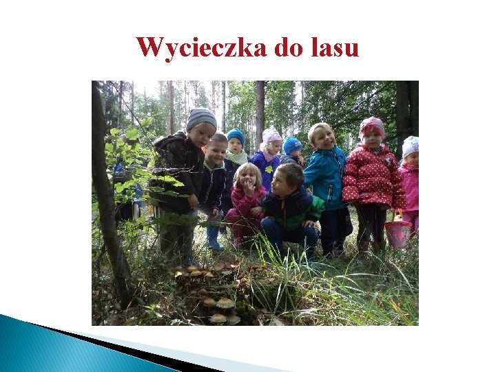 Wycieczka do lasu 