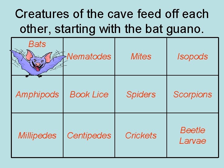 Creatures of the cave feed off each other, starting with the bat guano. Bats