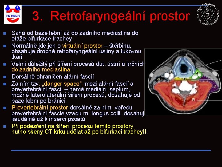 3. Retrofaryngeální prostor n n n n Sahá od baze lební až do zadního