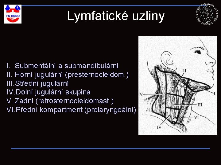 Lymfatické uzliny I. Submentální a submandibulární II. Horní jugulární (presternocleidom. ) III. Střední jugulární
