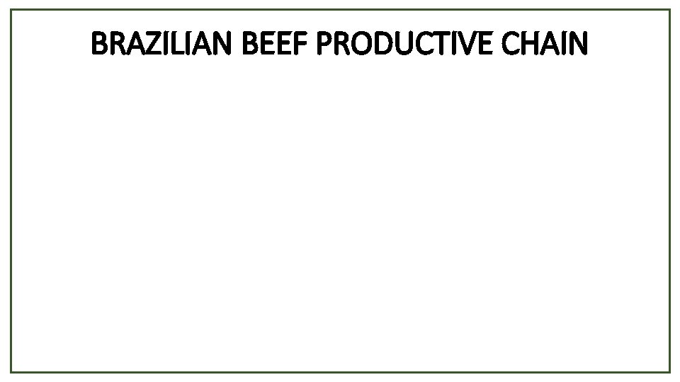 BRAZILIAN BEEF PRODUCTIVE CHAIN 