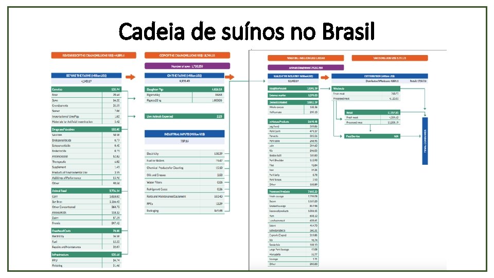 Cadeia de suínos no Brasil 