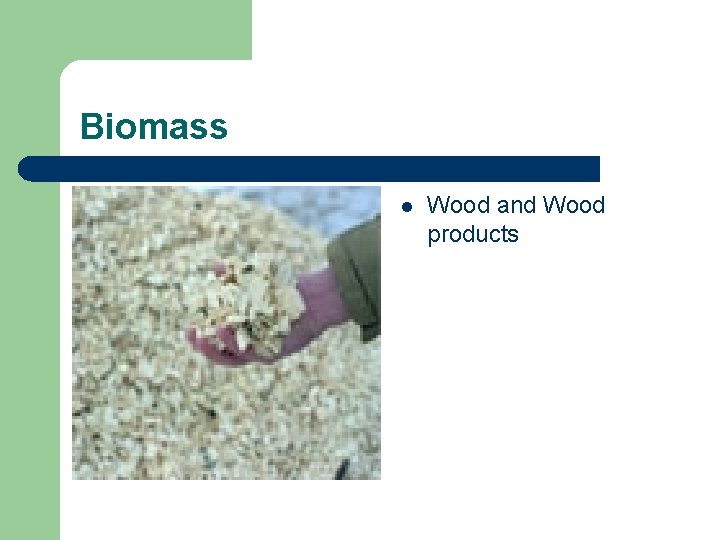 Biomass l Wood and Wood products 