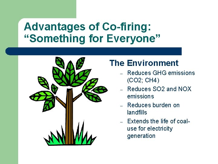 Advantages of Co-firing: “Something for Everyone” The Environment – – Reduces GHG emissions (CO