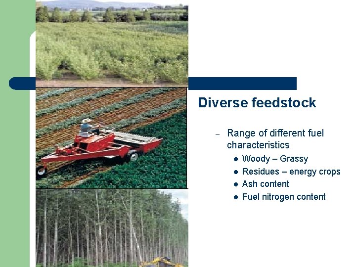 Disadvantages Diverse feedstock – Range of different fuel characteristics l l Woody – Grassy