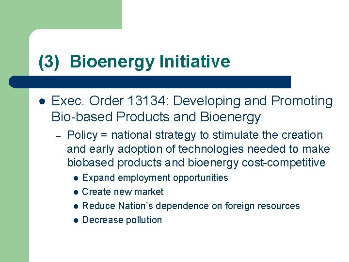 (3) Bioenergy Initiative l Exec. Order 13134: Developing and Promoting Bio-based Products and Bioenergy