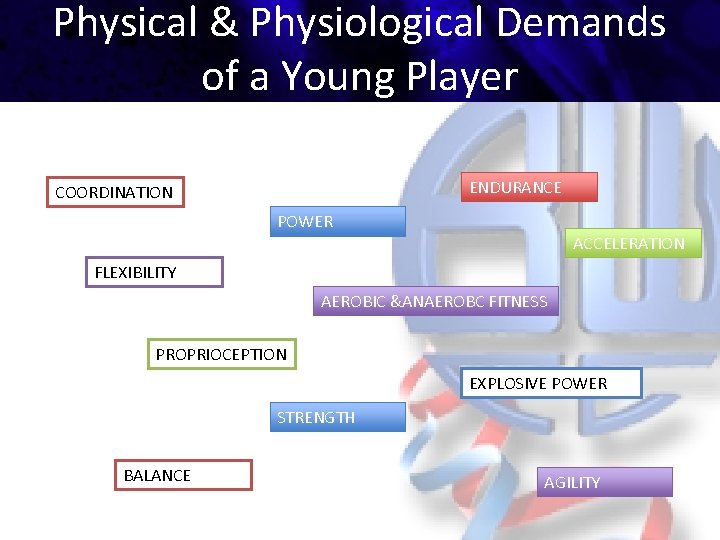 Physical & Physiological Demands of a Young Player ENDURANCE COORDINATION POWER ACCELERATION FLEXIBILITY AEROBIC