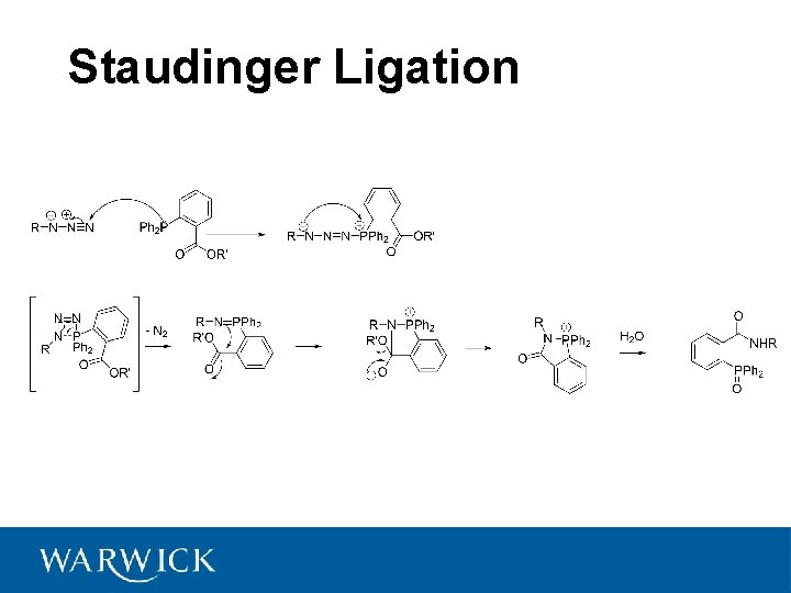 Staudinger Ligation 