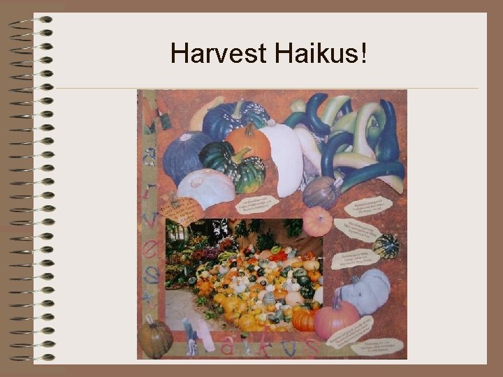 Harvest Haikus! 