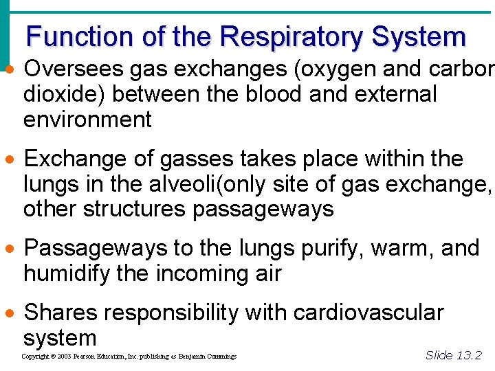 Function of the Respiratory System · Oversees gas exchanges (oxygen and carbon dioxide) between