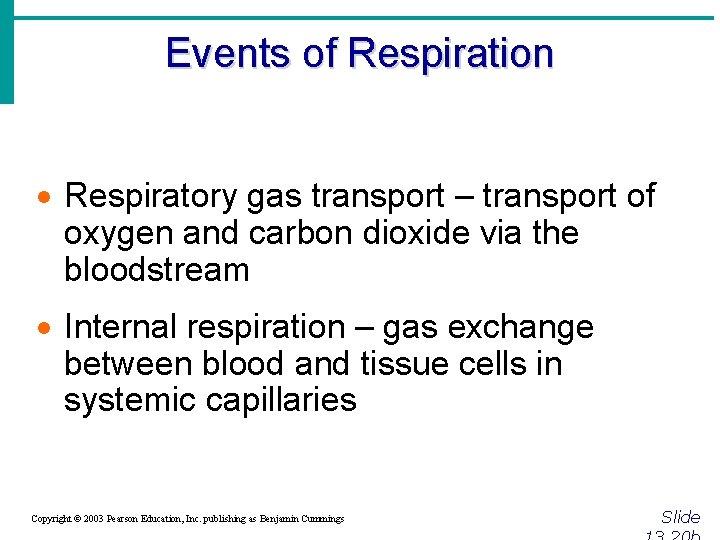 Events of Respiration · Respiratory gas transport – transport of oxygen and carbon dioxide