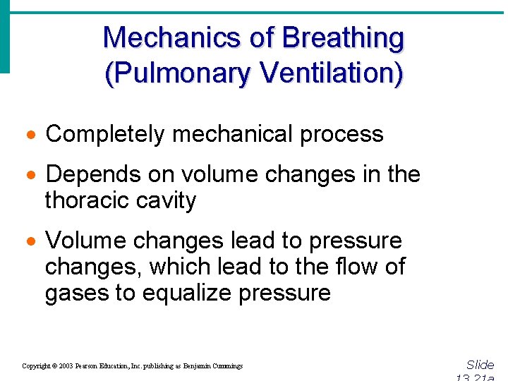 Mechanics of Breathing (Pulmonary Ventilation) · Completely mechanical process · Depends on volume changes