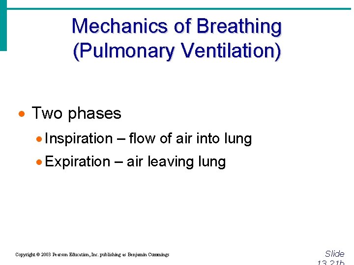 Mechanics of Breathing (Pulmonary Ventilation) · Two phases · Inspiration – flow of air