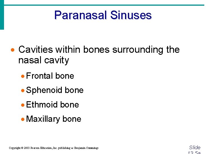Paranasal Sinuses · Cavities within bones surrounding the nasal cavity · Frontal bone ·