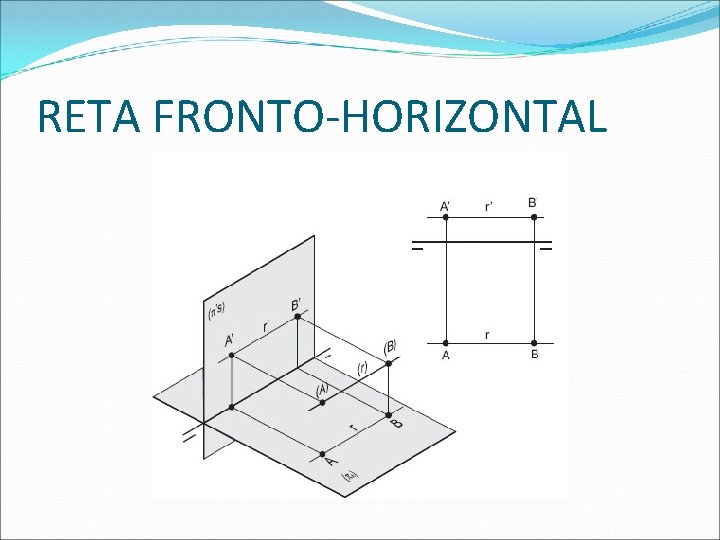 RETA FRONTO-HORIZONTAL  RETA FRONTO-HORIZONTAL