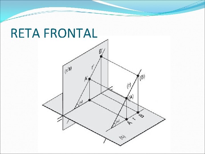 RETA FRONTAL  RETA FRONTAL