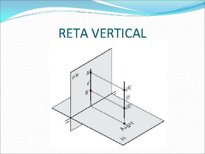 RETA VERTICAL  RETA VERTICAL