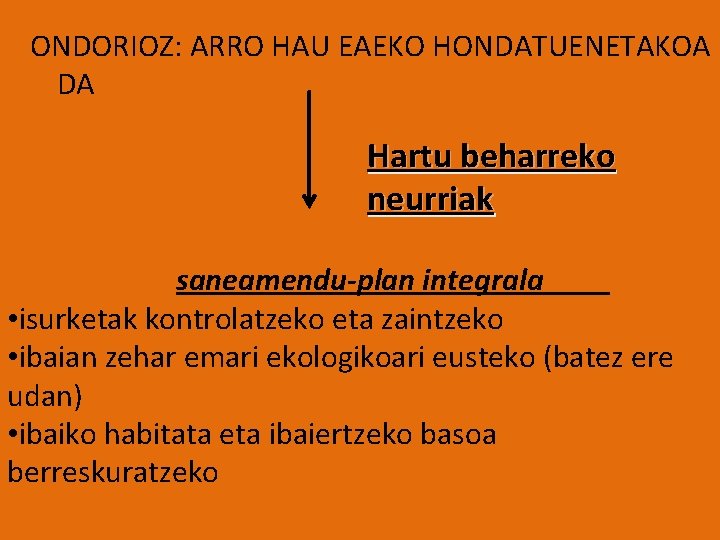 ONDORIOZ: ARRO HAU EAEKO HONDATUENETAKOA DA Hartu beharreko neurriak saneamendu-plan integrala • isurketak kontrolatzeko