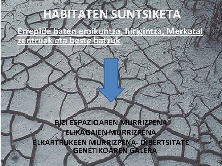 HABITATEN SUNTSIKETA Errepide baten eraikuntza, hirigintza, Merkatal zentruak eta beste batzuk BIZI ESPAZIOAREN MURRIZPENA