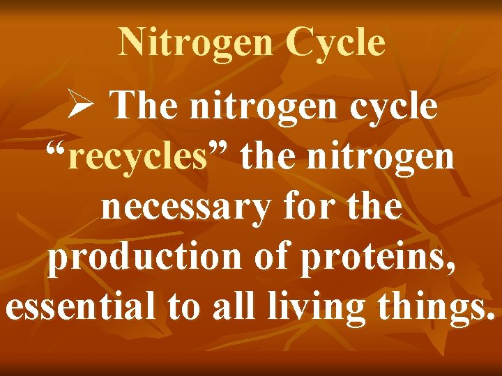 Nitrogen Cycle Ø The nitrogen cycle “recycles” the nitrogen necessary for the production of