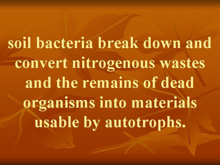 soil bacteria break down and convert nitrogenous wastes and the remains of dead organisms