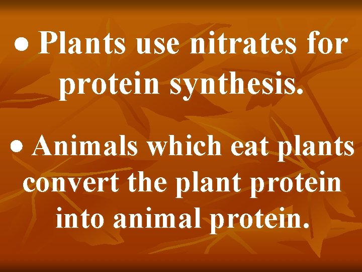 Plants use nitrates for protein synthesis. Animals which eat plants convert the plant