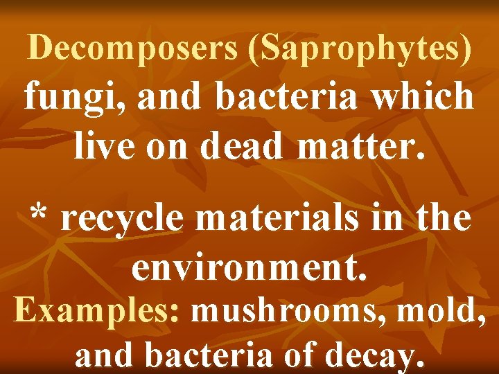 Decomposers (Saprophytes) fungi, and bacteria which live on dead matter. * recycle materials in