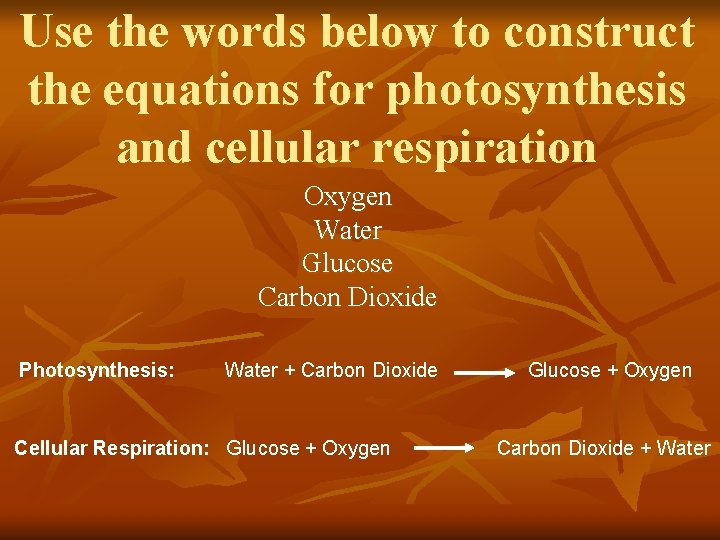 Use the words below to construct the equations for photosynthesis and cellular respiration Oxygen