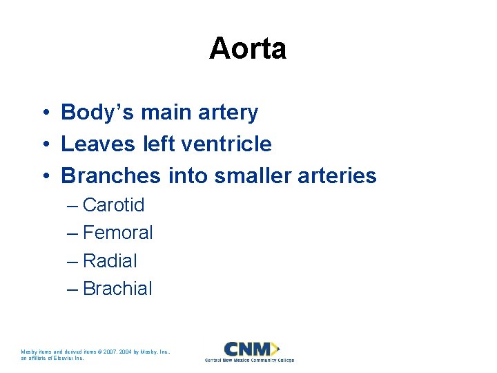Aorta • Body’s main artery • Leaves left ventricle • Branches into smaller arteries Aorta • Body’s main artery • Leaves left ventricle • Branches into smaller arteries