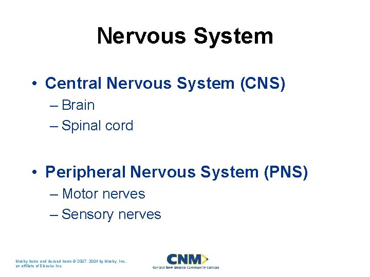 Nervous System • Central Nervous System (CNS) – Brain – Spinal cord • Peripheral Nervous System • Central Nervous System (CNS) – Brain – Spinal cord • Peripheral