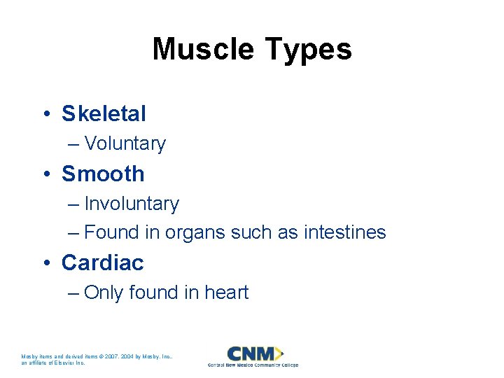 Muscle Types • Skeletal – Voluntary • Smooth – Involuntary – Found in organs