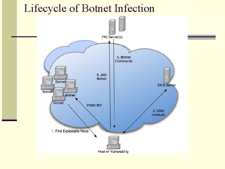 Lifecycle of Botnet Infection 