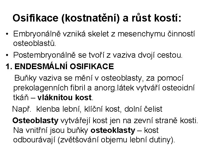 Osifikace (kostnatění) a růst kostí: • Embryonálně vzniká skelet z mesenchymu činností osteoblastů. •